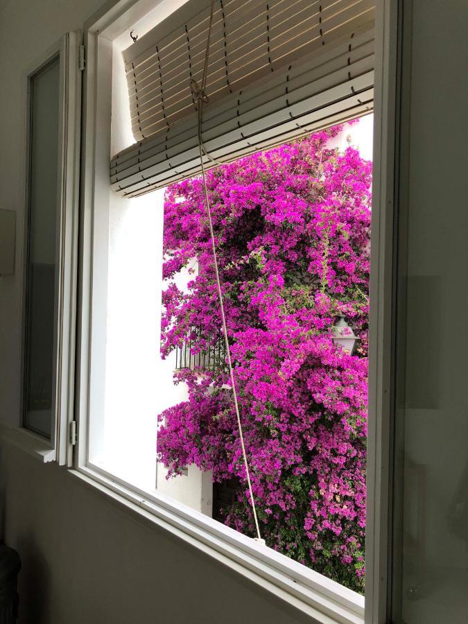 Villa Centric Townhouse Cadaques - Casa Voltes - Exterior foto